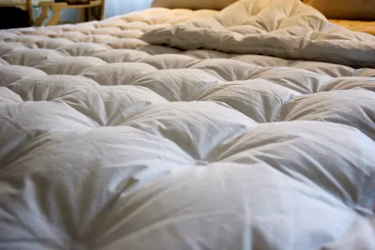 Circle Stitch- 100% Hungarian Goose Down Comforter
