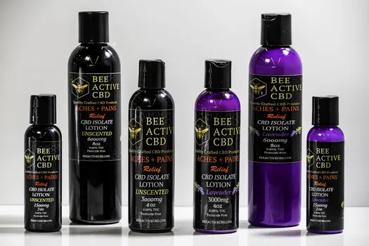 Bee Active CBD Moisturizing Lotion — Aches + Pains Relief