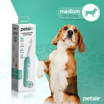 Petsie dog toothbrush (size M  10-20kg)