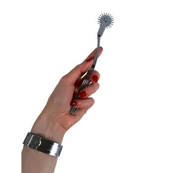 Terra- The Ultimate BDSM Pinwheel and Wartenberg Wheel