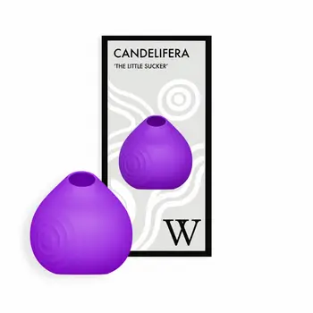 Candelifera - 'The Little Sucker'