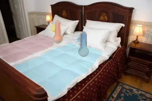Dual Temperature Zone Down Comforter