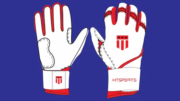 Long Cuff All Leather Batting Gloves- STOCK