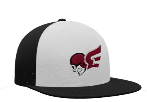 Erskine Flying Fleet Fitted Hat 3D Logo