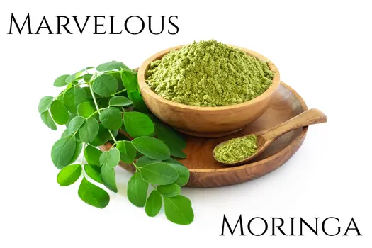 Moringa Dual Extracted Powder
