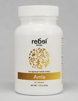 Amla Dual Extracted Powder