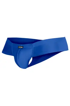 royal blue Hybryd Cheeky Brief C4MSPX22 - XL